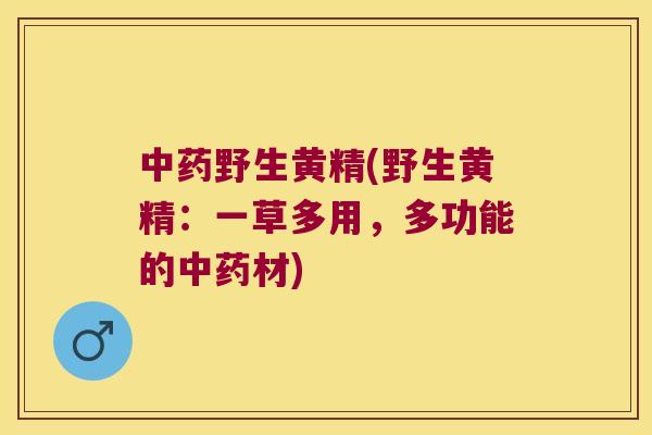 野生黄精(野生黄精:一草多用,多功能的材) 野生黄精(野生黄精:一草多用,多功能的材)