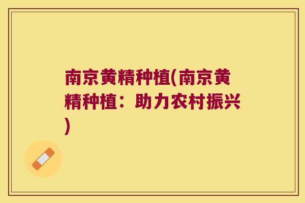 南京黄精种植(南京黄精种植:助力农村振兴) 南京黄精种植(南京黄精种植:助力农村振兴)