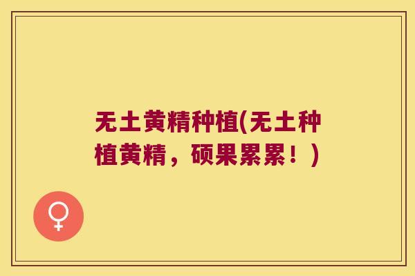 无土黄精种植(无土种植黄精，硕果累累！)