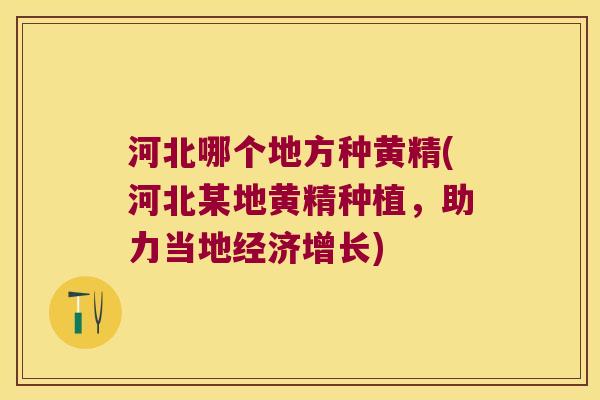 河北哪个地方种黄精(河北某地黄精种植，助力当地经济增长)
