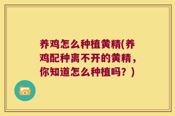养鸡怎么种植黄精(养鸡配种离不开的黄精,你知道怎么种植吗?) 养鸡怎么种植黄精(养鸡配种离不开的黄精,你知道怎么种植吗?)