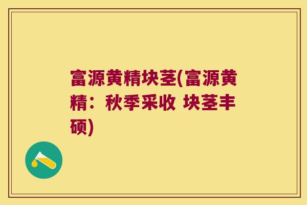 富源黄精块茎(富源黄精：秋季采收 块茎丰硕)