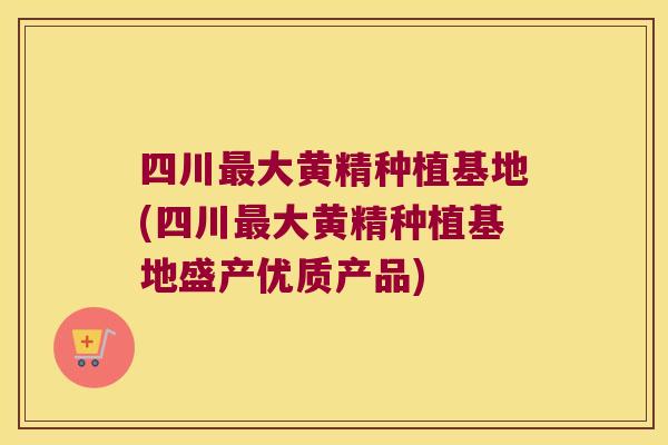 四川大黄精种植基地(四川大黄精种植基地盛产优质产品)