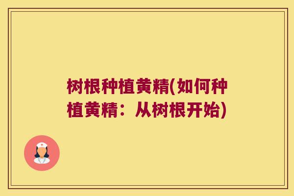 树根种植黄精(如何种植黄精:从树根开始) 树根种植黄精(如何种植黄精:从树根开始)