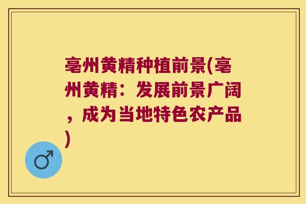 亳州黄精种植前景(亳州黄精：发展前景广阔，成为当地特色农产品)