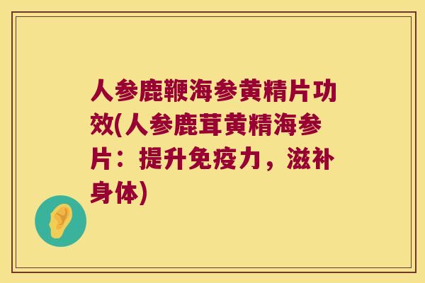 人参鹿鞭海参黄精片功效(人参鹿茸黄精海参片：提升力，滋补身体)