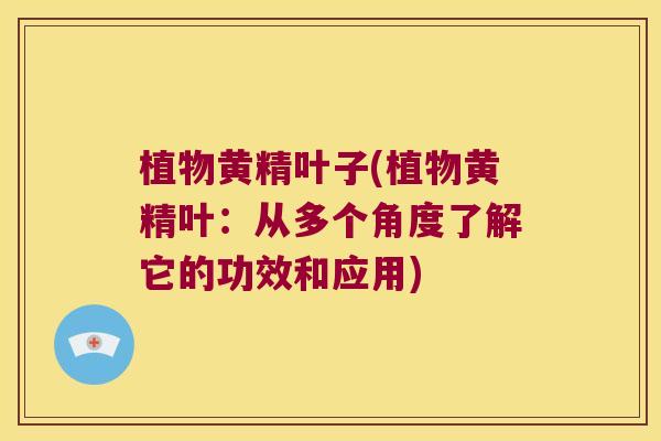 植物黄精叶子(植物黄精叶:从多个角度了解它的功效和应用) 植物黄精叶子(植物黄精叶:从多个角度了解它的功效和应用)