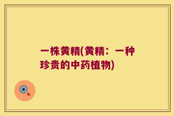 一株黄精(黄精：一种珍贵的植物)