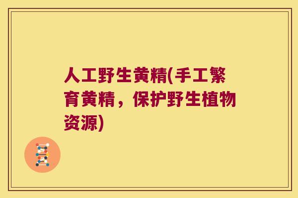 人工野生黄精(手工繁育黄精，保护野生植物资源)