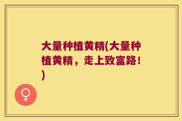 大量种植黄精(大量种植黄精，走上致富路！)