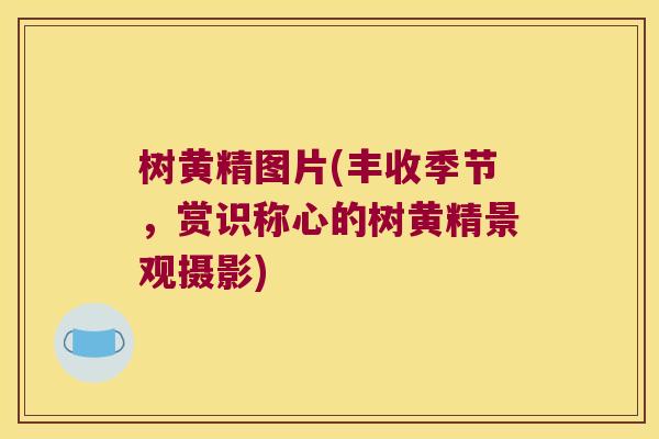 树黄精图片(丰收季节,赏识称心的树黄精景观摄影) 树黄精图片(丰收季节,赏识称心的树黄精景观摄影)