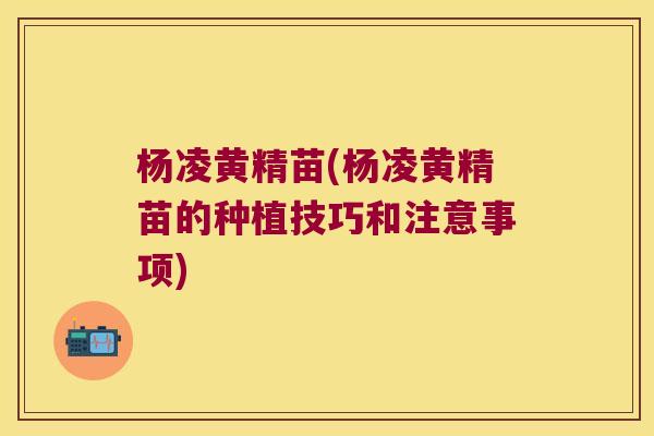 杨凌黄精苗(杨凌黄精苗的种植技巧和注意事项) 杨凌黄精苗(杨凌黄精苗的种植技巧和注意事项)