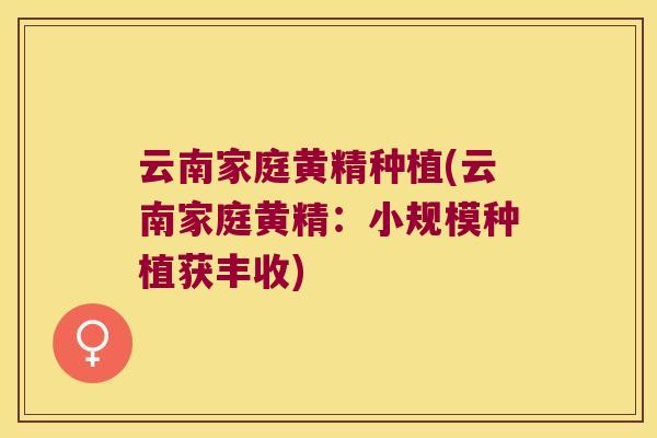 云南家庭黄精种植(云南家庭黄精：小规模种植获丰收)
