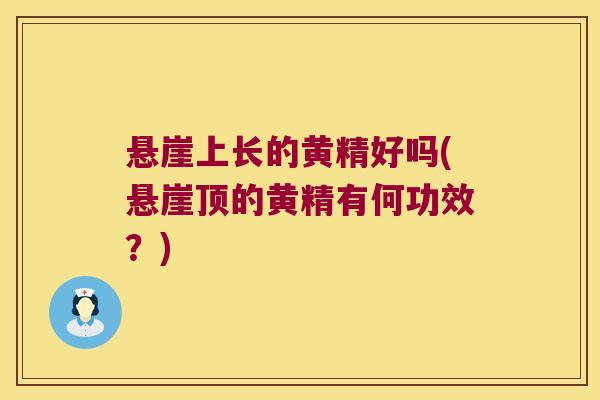 悬崖上长的黄精好吗(悬崖顶的黄精有何功效？)