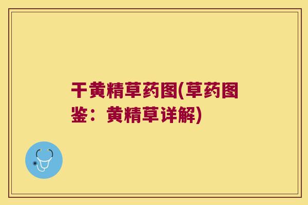 干黄精草药图(草药图鉴：黄精草详解)