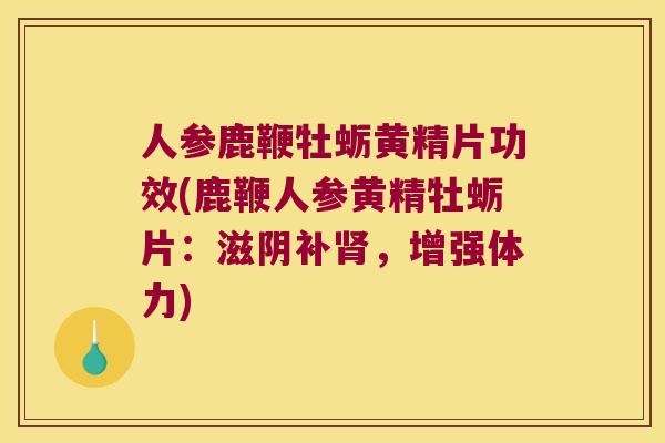 人参鹿鞭牡蛎黄精片功效(鹿鞭人参黄精牡蛎片：滋阴补，增强体力)