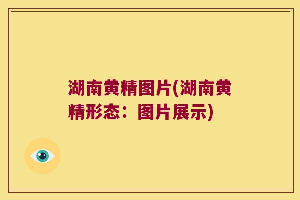 湖南黄精图片(湖南黄精形态:图片展示) 湖南黄精图片(湖南黄精形态:图片展示)