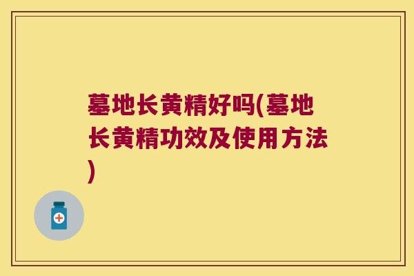 墓地长黄精好吗(墓地长黄精功效及使用方法)