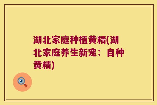 湖北家庭种植黄精(湖北家庭养生新宠:自种黄精) 湖北家庭种植黄精(湖北家庭养生新宠:自种黄精)