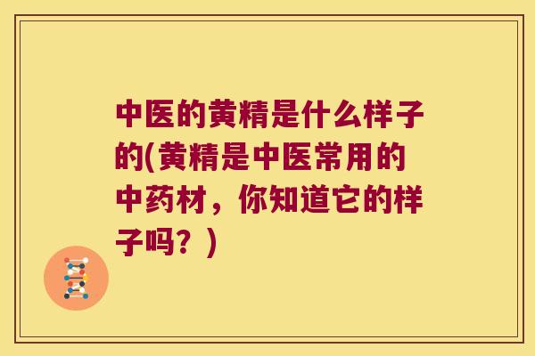 中医的黄精是什么样子的(黄精是中医常用的材，你知道它的样子吗？)