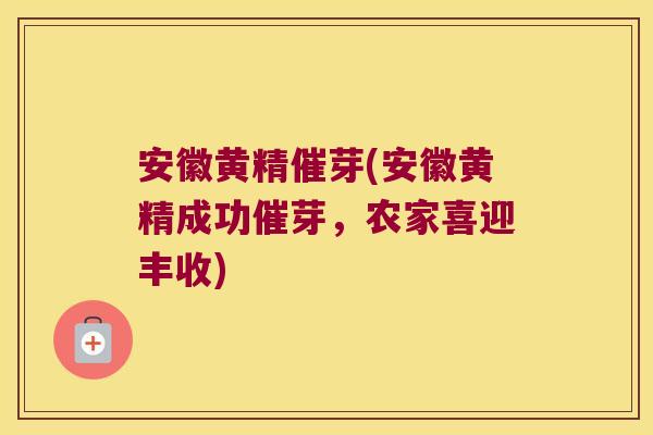 安徽黄精催芽(安徽黄精成功催芽,农家喜迎丰收) 安徽黄精催芽(安徽黄精成功催芽,农家喜迎丰收)