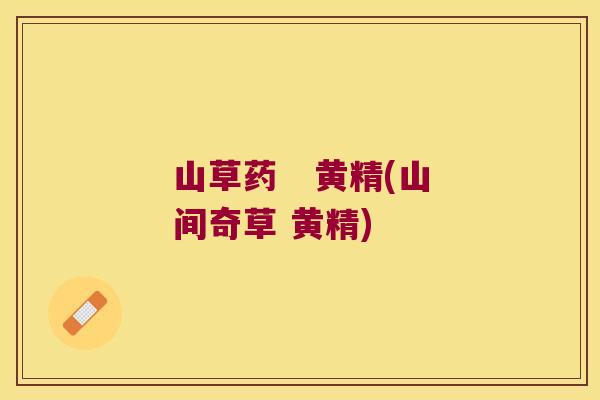 山草药   黄精(山间奇草 黄精)