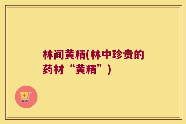 林间黄精(林中珍贵的药材“黄精”)