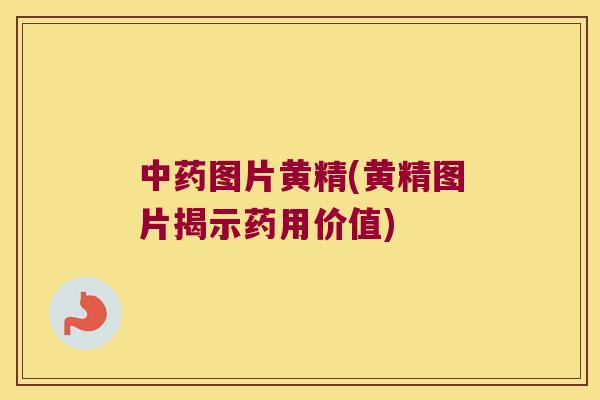 图片黄精(黄精图片揭示药用价值) 图片黄精(黄精图片揭示药用价值)