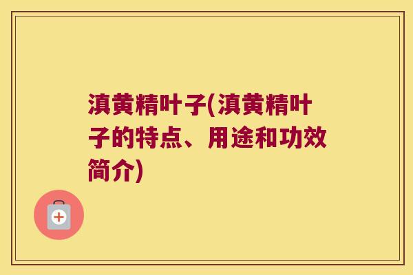 滇黄精叶子(滇黄精叶子的特点、用途和功效简介) 滇黄精叶子(滇黄精叶子的特点、用途和功效简介)