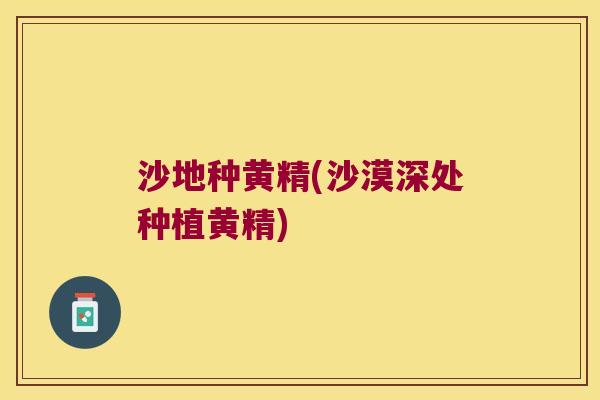沙地种黄精(沙漠深处种植黄精)