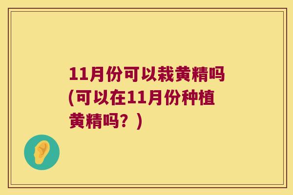 11月份可以栽黄精吗(可以在11月份种植黄精吗？)