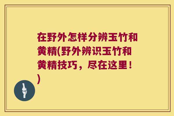 在野外怎样分辨玉竹和黄精(野外辨识玉竹和黄精技巧，尽在这里！)