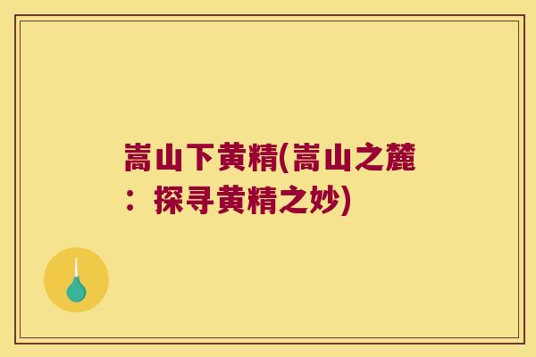 嵩山下黄精(嵩山之麓：探寻黄精之妙)