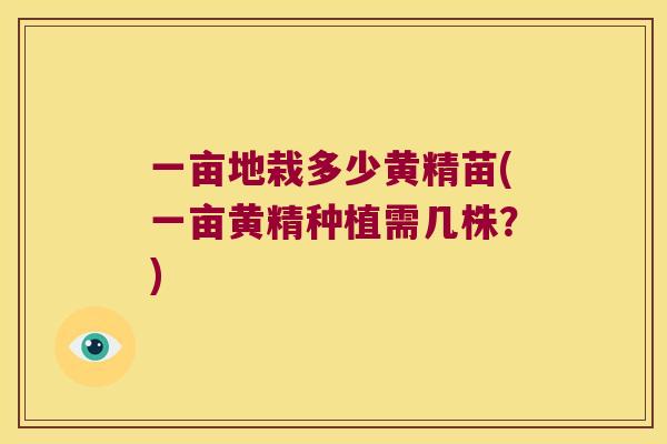 一亩地栽多少黄精苗(一亩黄精种植需几株?) 一亩地栽多少黄精苗(一亩黄精种植需几株?)