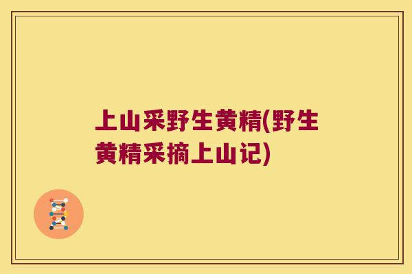 上山采野生黄精(野生黄精采摘上山记) 上山采野生黄精(野生黄精采摘上山记)