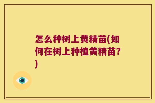 怎么种树上黄精苗(如何在树上种植黄精苗?) 怎么种树上黄精苗(如何在树上种植黄精苗?)