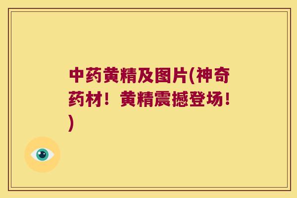 黄精及图片(神奇药材!黄精震撼登场!) 黄精及图片(神奇药材!黄精震撼登场!)