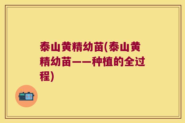 泰山黄精幼苗(泰山黄精幼苗——种植的全过程)