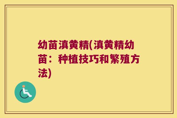 幼苗滇黄精(滇黄精幼苗:种植技巧和繁殖方法) 幼苗滇黄精(滇黄精幼苗:种植技巧和繁殖方法)