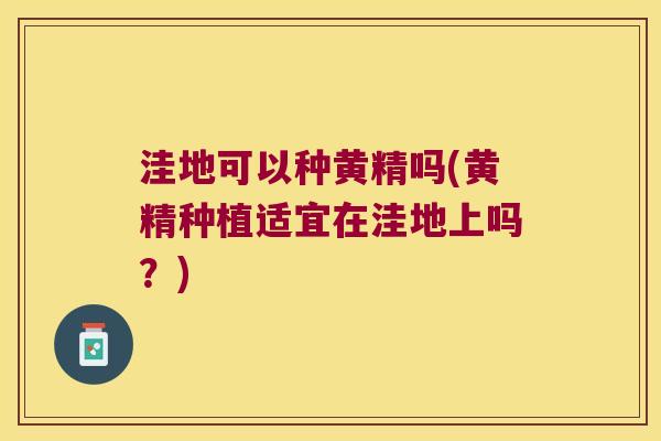 洼地可以种黄精吗(黄精种植适宜在洼地上吗？)