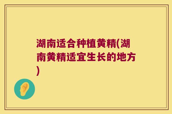 湖南适合种植黄精(湖南黄精适宜生长的地方)