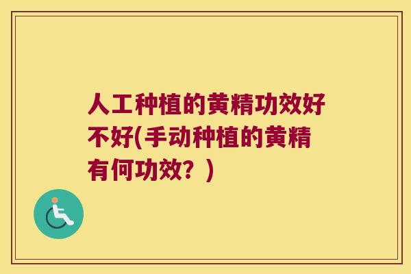 人工种植的黄精功效好不好(手动种植的黄精有何功效?) 人工种植的黄精功效好不好(手动种植的黄精有何功效?)