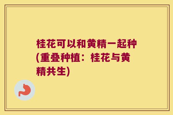 桂花可以和黄精一起种(重叠种植：桂花与黄精共生)