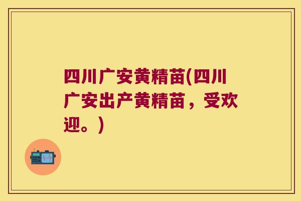 四川广安黄精苗(四川广安出产黄精苗,受欢迎。) 四川广安黄精苗(四川广安出产黄精苗,受欢迎。)