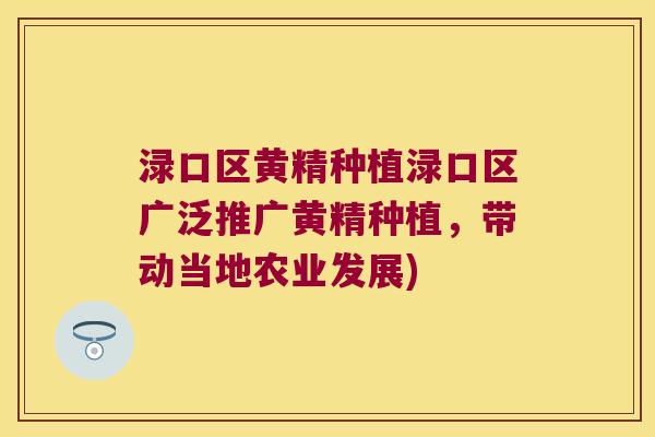 渌口区黄精种植渌口区广泛推广黄精种植，带动当地农业发展)