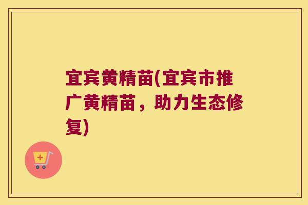 宜宾黄精苗(宜宾市推广黄精苗，助力生态修复)