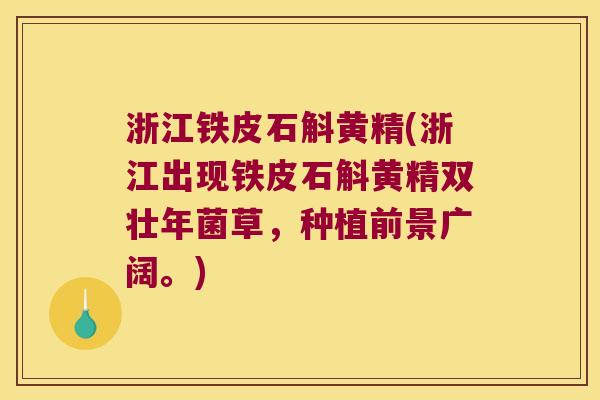 浙江铁皮石斛黄精(浙江出现铁皮石斛黄精双壮年菌草,种植前景广阔。) 浙江铁皮石斛黄精(浙江出现铁皮石斛黄精双壮年菌草,种植前景广阔。)
