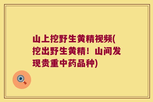 山上挖野生黄精视频(挖出野生黄精！山间发现贵重品种)