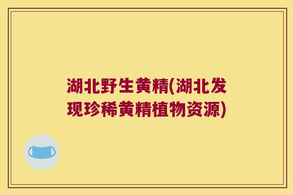 湖北野生黄精(湖北发现珍稀黄精植物资源) 湖北野生黄精(湖北发现珍稀黄精植物资源)