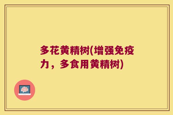 多花黄精树(增强力,多食用黄精树) 多花黄精树(增强力,多食用黄精树)
